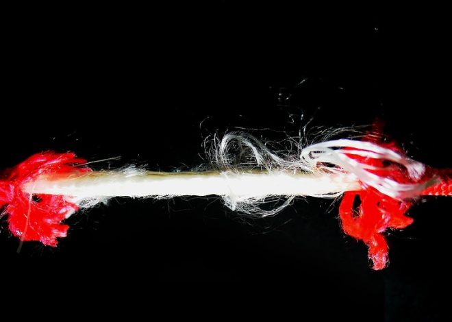 Les tensions diplomatiques entre la France et l&rsquo;Algérie, la condamnation de Trump et le bilan des incendies à Los Angeles : retour sur les événements marquants du vendredi 10 janvier au soir