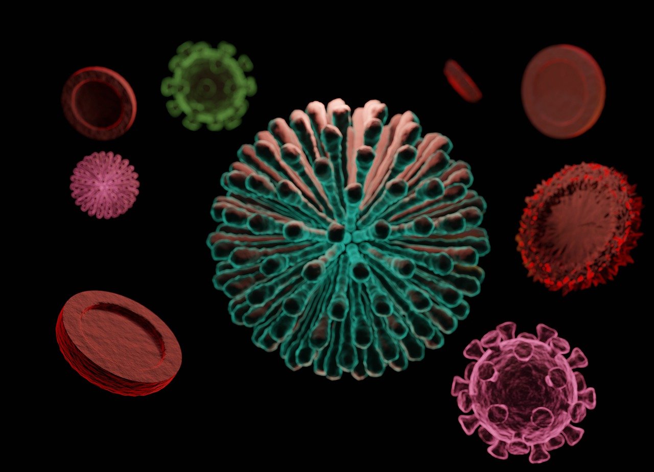 découvrez tout ce que vous devez savoir sur l'influenza, y compris ses symptômes, modes de transmission, prévention et traitements. restez informé pour protéger votre santé et celle de votre entourage face à cette maladie saisonnière.