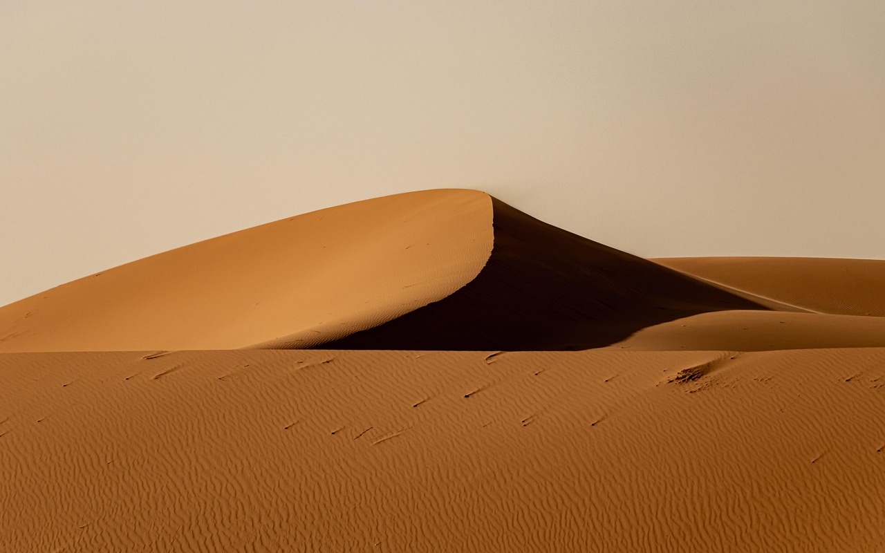 découvrez le sahara, le plus grand désert chaud du monde, riche en paysages époustouflants, en cultures fascinantes et en aventures inoubliables. explorez ses dunes dorées, ses oasis cachées et sa faune unique.