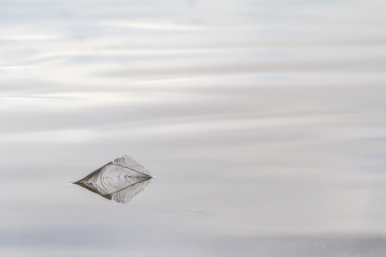 découvrez le concept de grief, ses manifestations et son impact émotionnel. apprenez à gérer le deuil et à trouver du soutien dans les moments difficiles. explorez des ressources et des conseils pour surmonter la perte et retrouver l'espoir.