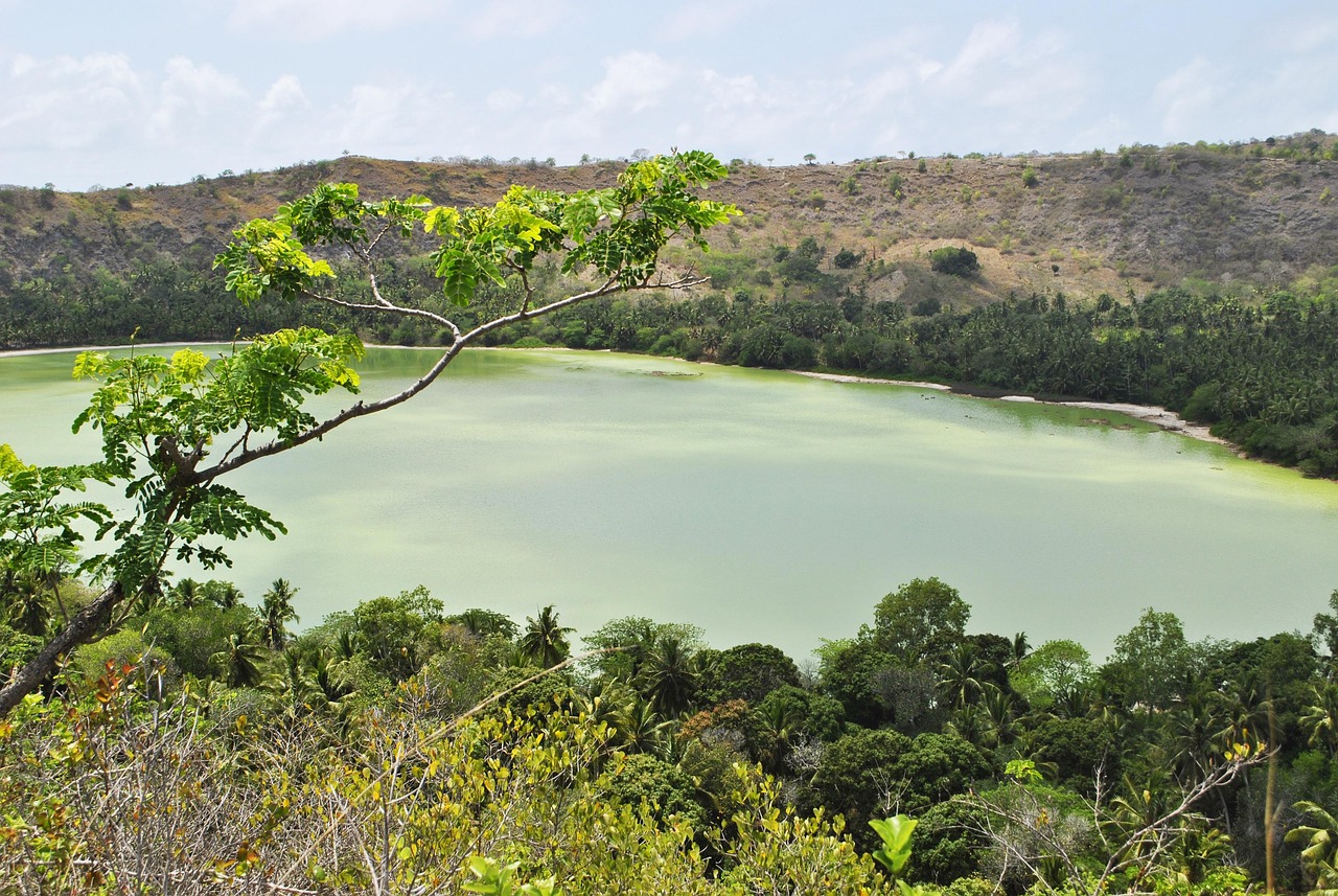 découvrez mayotte, une île enchanteresse de l'océan indien, connue pour ses plages de sable blanc, sa biodiversité unique et sa culture riche. explorez ses lagons turquoise, ses paysages volcaniques et plongez dans l'hospitalité chaleureuse de ses habitants.