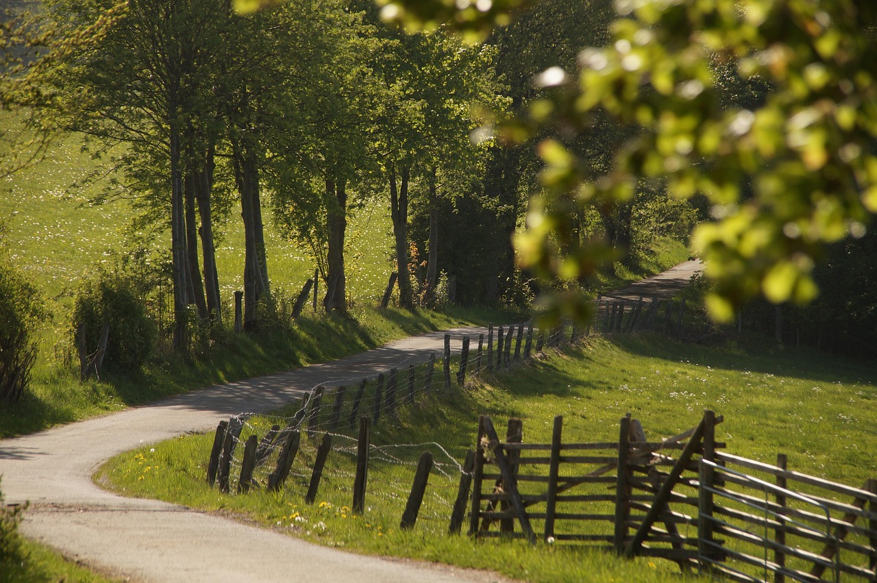 découvrez les moments forts des nouvelles du weekend : analyses, actualités marquantes et événements clés qui ont fait la une. restez informé avec notre récapitulatif des tendances et des reportages essentiels.