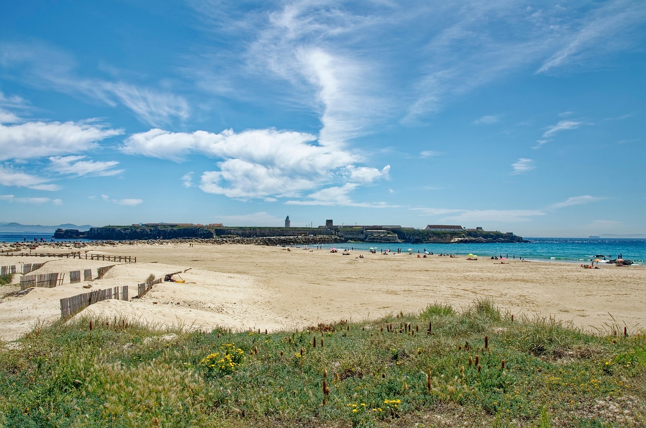 découvrez nos tarifs compétitifs pour divers services et produits. profitez de nos offres avantageuses et d'une transparence totale concernant nos prix. comparez et choisissez la solution qui vous convient le mieux.