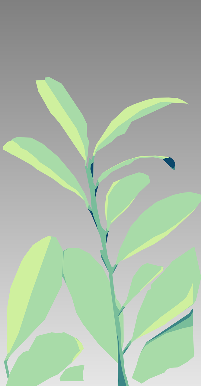 Stéphane Plaza en garde à vue : découverte de cocaïne dans son domicile des Yvelines