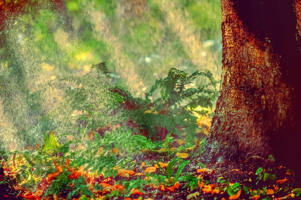 découvrez tout ce qu'il faut savoir sur les vagues de chaleur, leurs impacts sur la santé, l'environnement et les conseils pour rester au frais pendant ces périodes de forte chaleur.