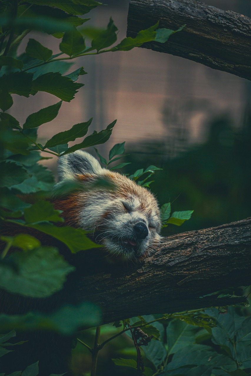 Canicule : la France a vécu sa nuit et sa journée les plus torrides de juin