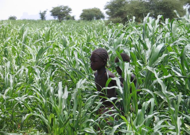 Les raisons derrière la suspension de la coopération antiterroriste de la France avec le Mali