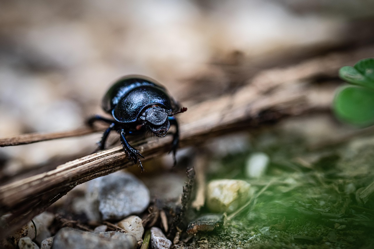 découvrez toutes les actualités, analyses et pronostics concernant le ballon d'or 2025 : favoris, calendrier, cérémonie et résultats pour désigner le meilleur joueur de football de l'année.