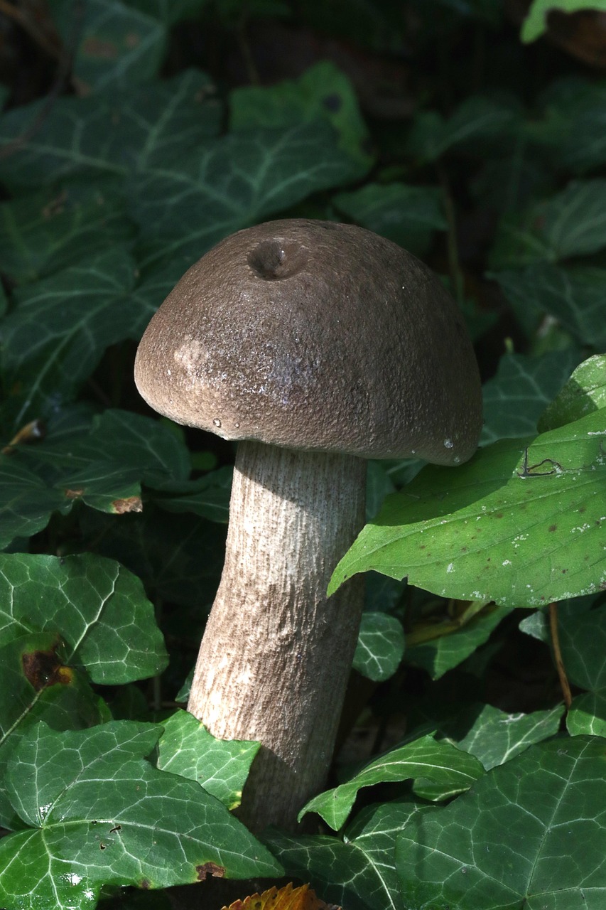 découvrez tout sur l'humidité : définition, causes, solutions pour contrôler l'humidité dans votre maison, impacts sur la santé et conseils pratiques pour une meilleure qualité de vie.