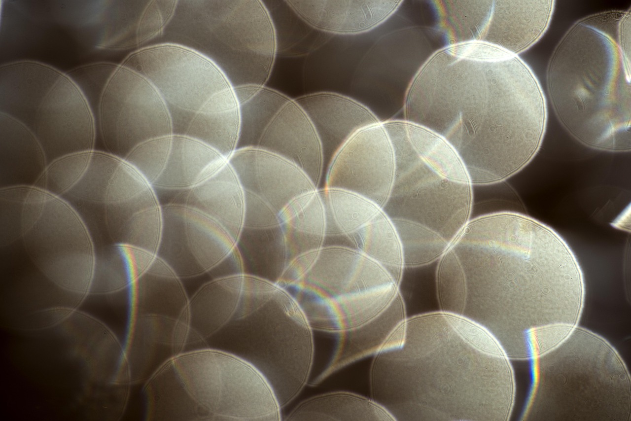 découvrez les meilleurs moments et points forts sélectionnés pour vous, afin de ne rien manquer de l’essentiel. accédez rapidement aux faits marquants et actualités incontournables.