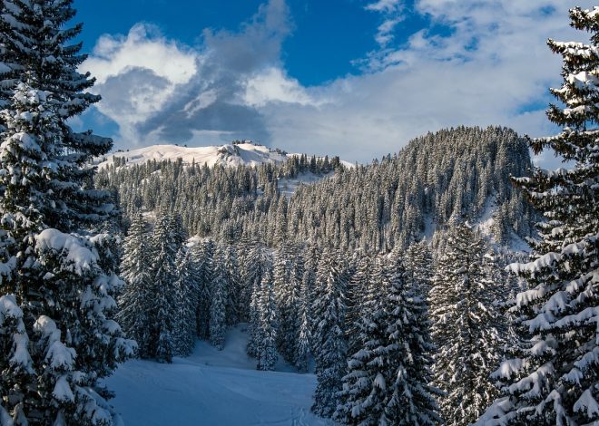 La France enveloppée de blancheur : des paysages féériques de Noël sous une douce couche de neige