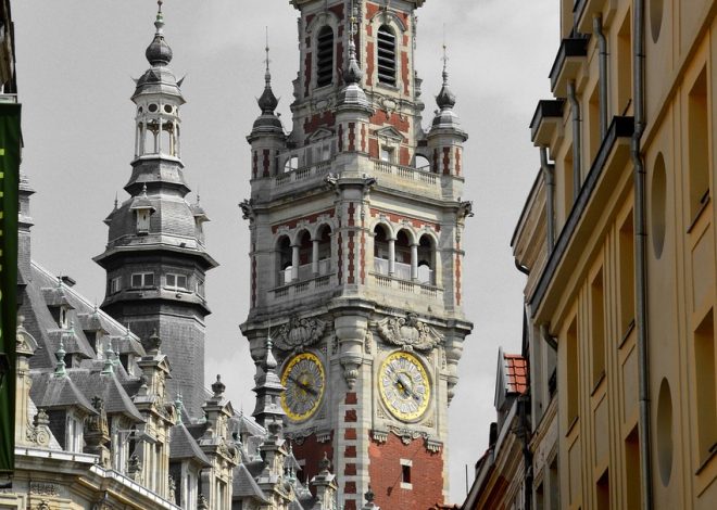 Municipales 2026 à Lille : tensions croissantes chez les écologistes après leur alliance controversée avec le PS